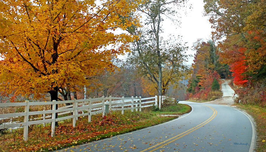 Country Road in the Fall Photograph by Duane McCullough