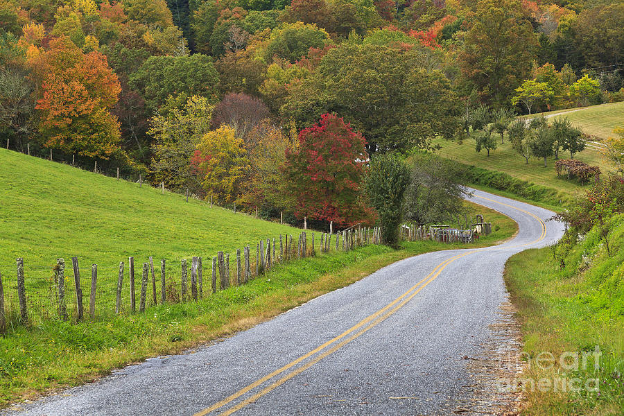 Country Road in the Fall Photograph by Jill Lang