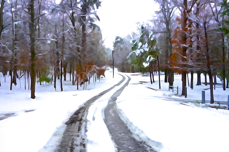 Winter Photograph - Country Road in Winter by Norma Brock