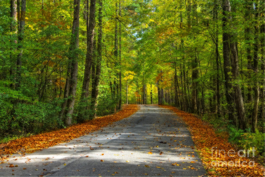 Fall Photograph - Country Road by Larry Braun