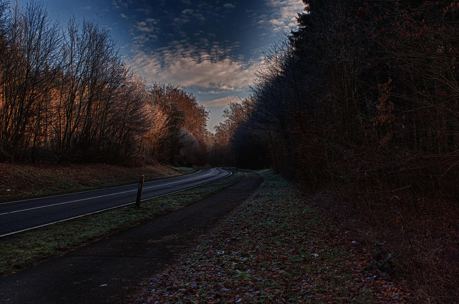 Country Road Photograph by Miguel Winterpacht