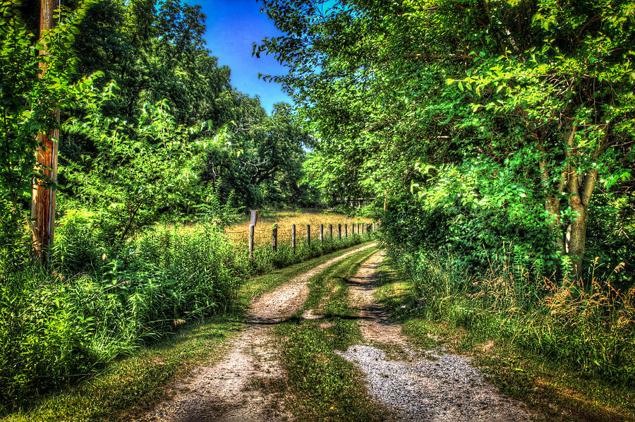 Country Road Photograph by Ray Congrove