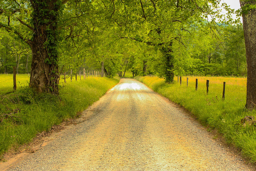 Country Road Photograph by Robert Hebert
