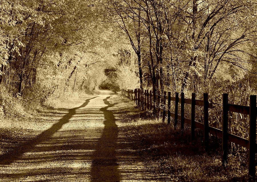 Kunstneriske episode Ashley Furman Country Road Sepia Tone Photograph by Anne Barkley - Fine Art America