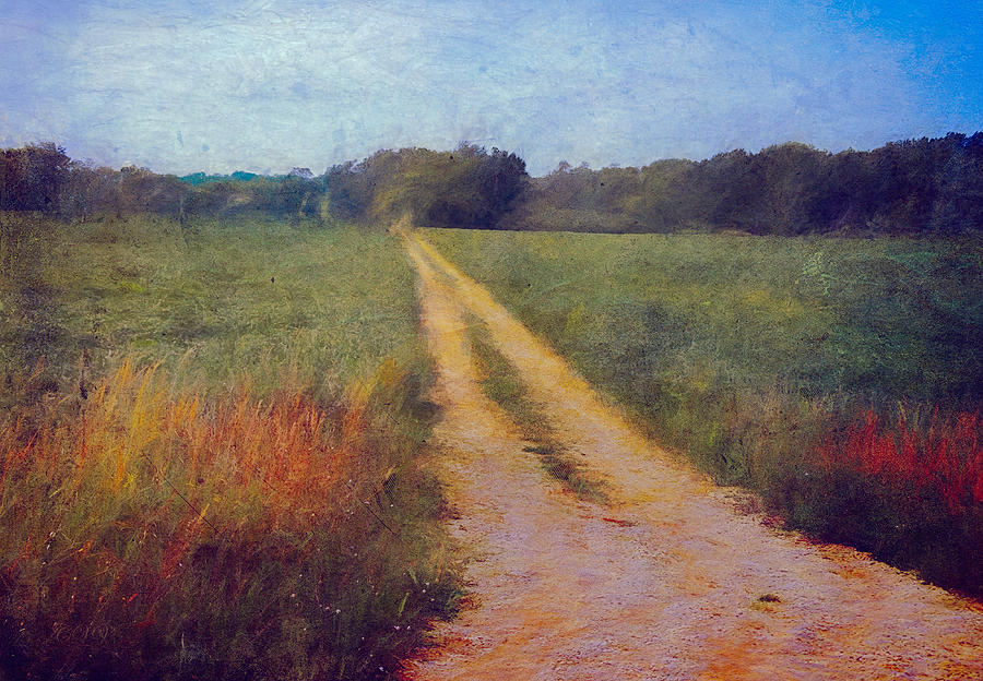 Road Photograph - Country Road Textured photograph by Clare VanderVeen