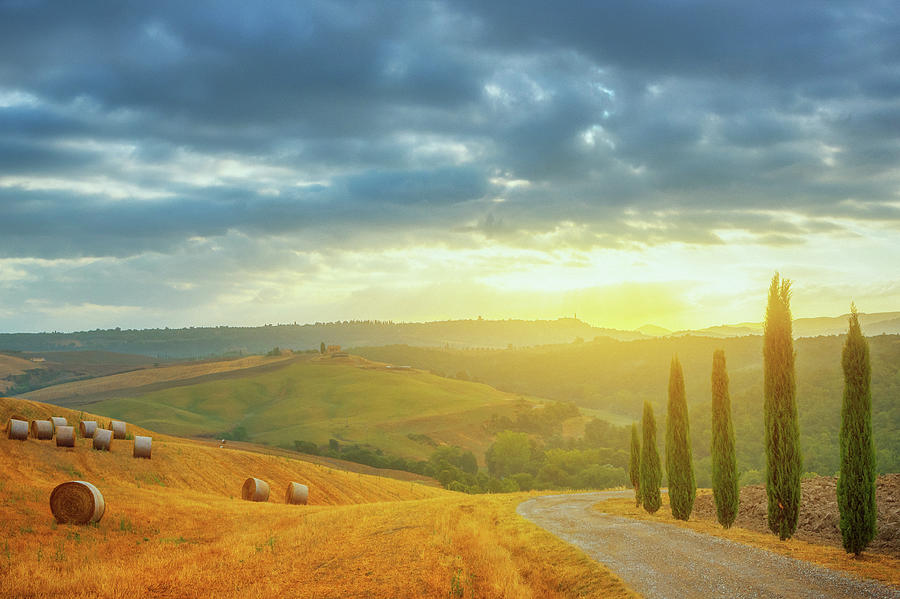 Country Road With Cypresses In Tuscany Photograph by Peter Zelei Images