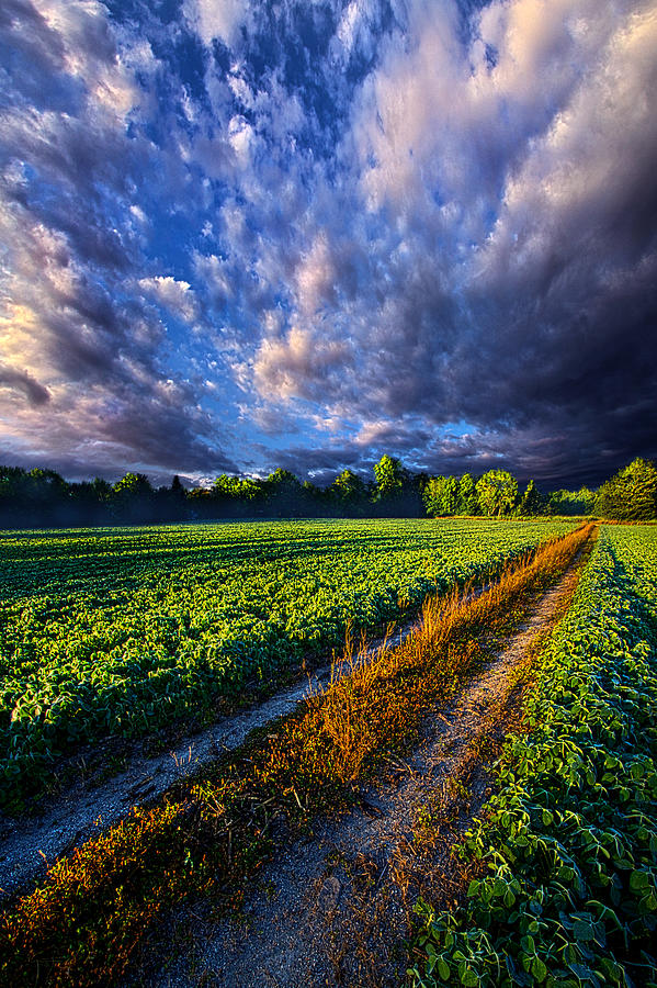 Nature Photograph - Country Roads by Phil Koch