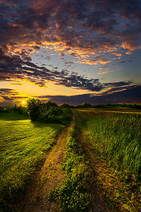 Nature Photograph - Country Roads Take Me Home by Phil Koch