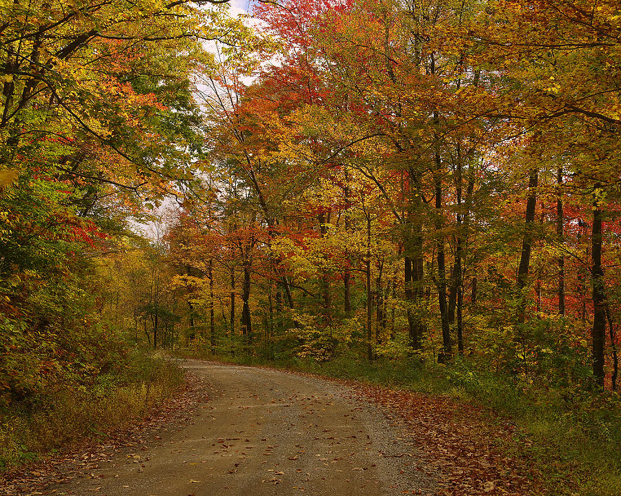 Fall Photograph - Country road.....WV by Ulrich Burkhalter
