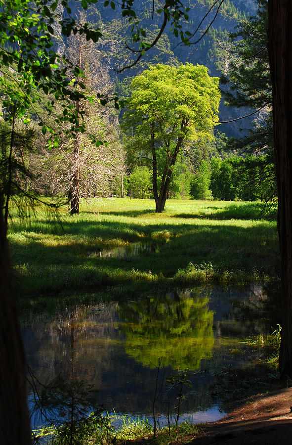 Country Setting Photograph by Mischelle Lorenzen - Fine Art America