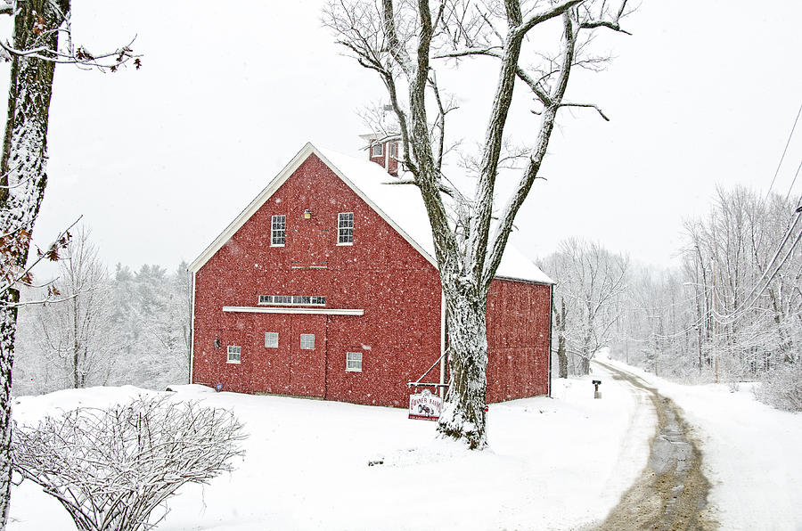 Barn Photograph - Country Snow by Donna Doherty