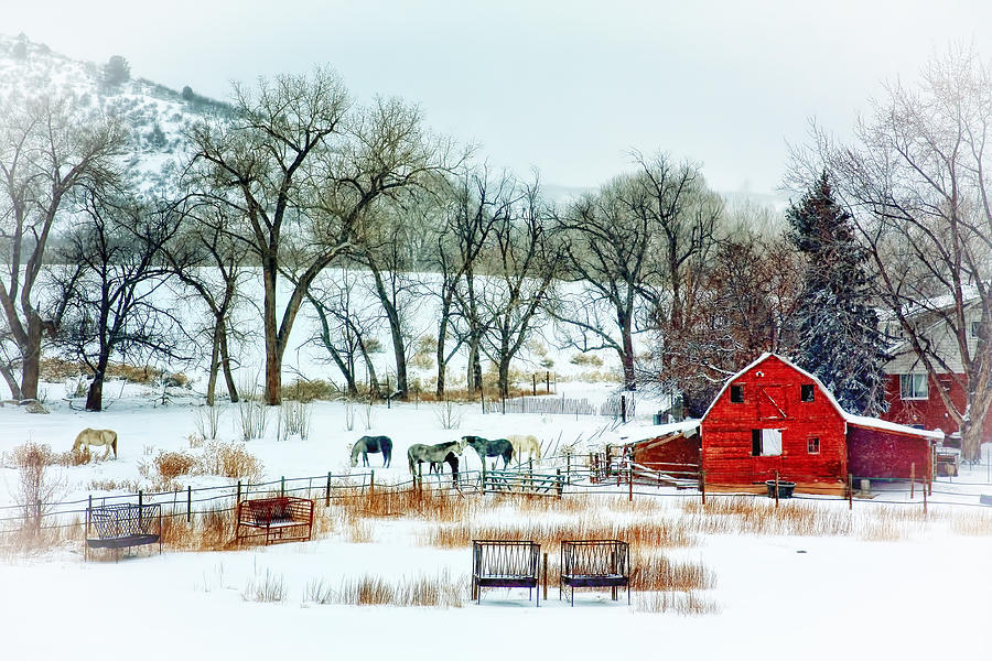 Country Snow Scene Photograph by Teri Virbickis