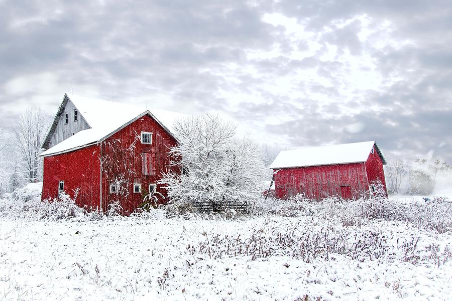 Winter Photograph - Country Snowfall by Diana Klamut