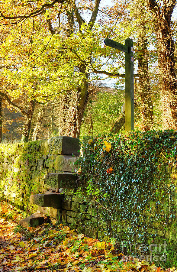 Country Stile Photograph by David Birchall