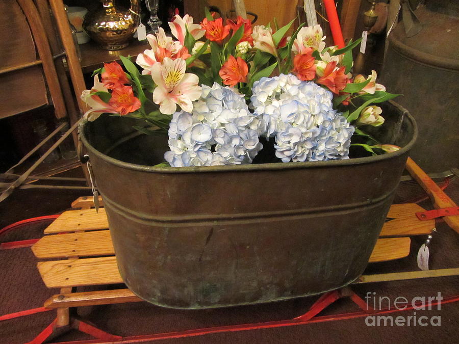 Country Store - Flowers Photograph by Susan Carella