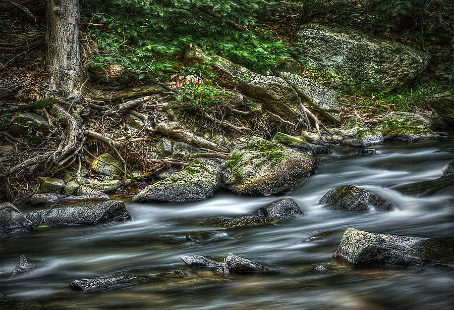 Country Stream Photograph by Rick Mosher