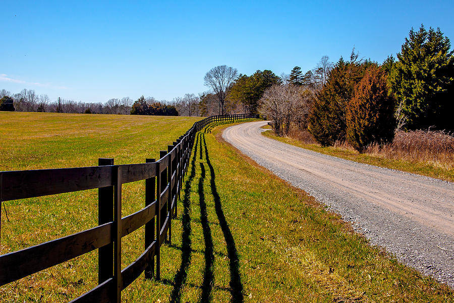 Country Stroll Photograph by Wayne White - Fine Art America