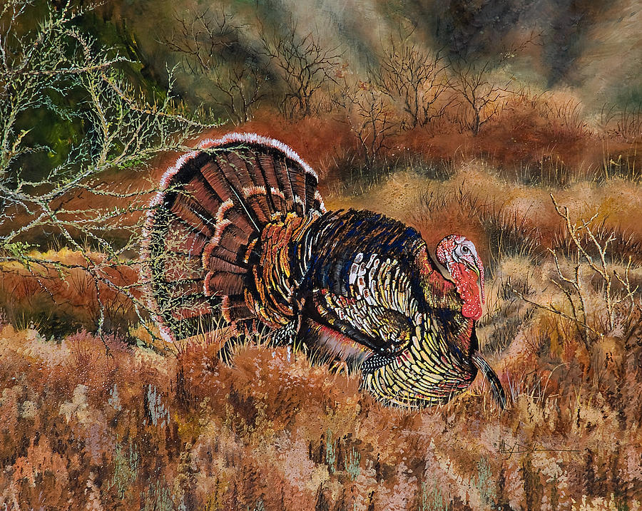 Country Strutter Turkey Painting by Mary Dove