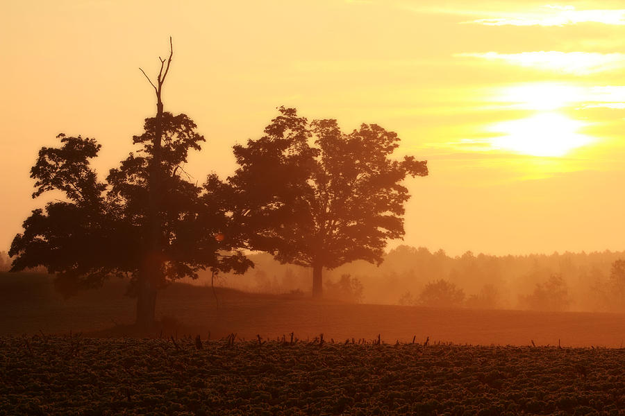 Country Sunrise 2 Photograph by Scott Hovind