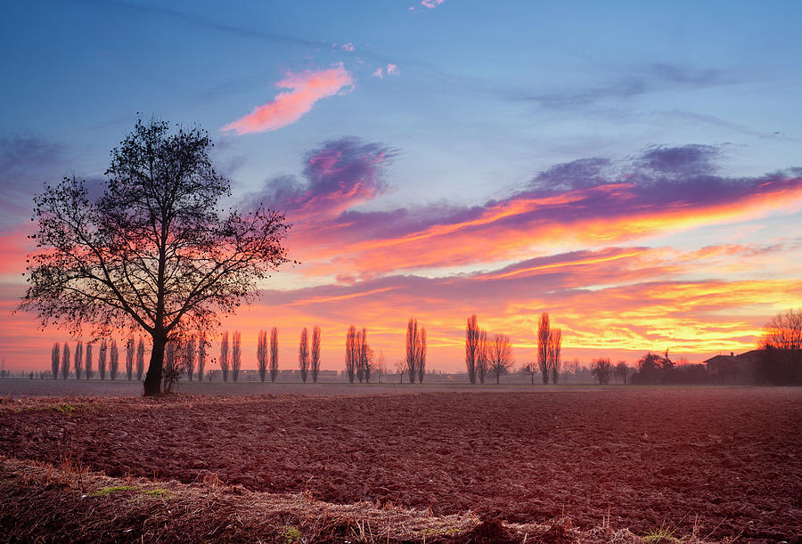 Country Sunset In Winter, Hdr Photograph by Rinocdz