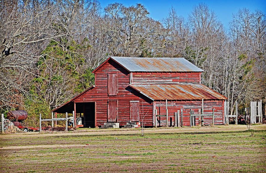 Country Time Photograph by Linda Brown