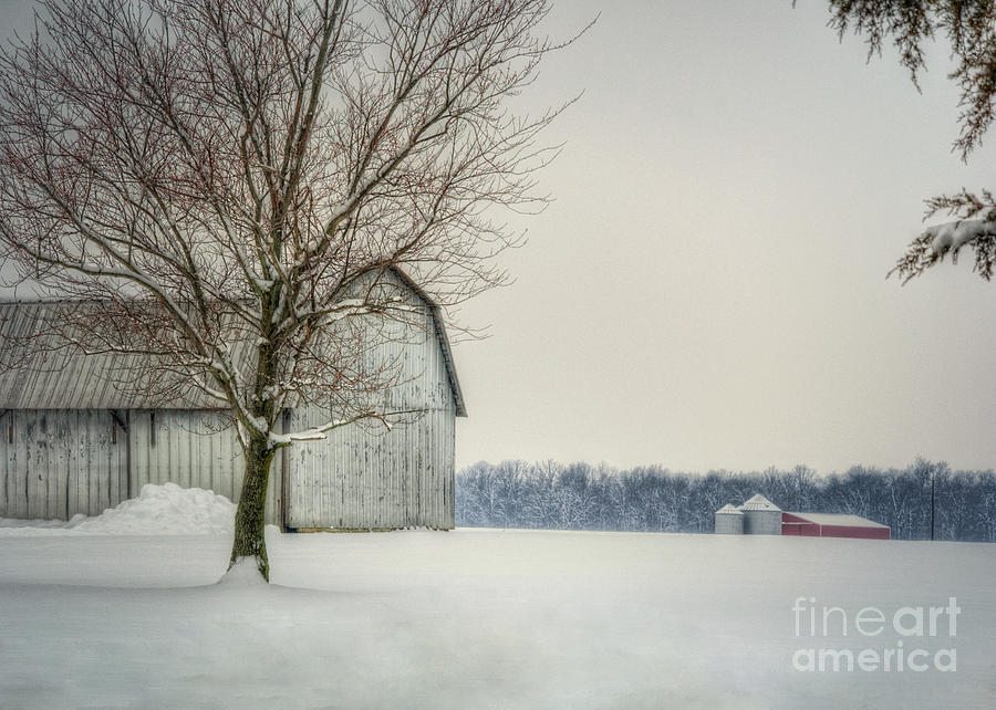 Country Winter Photograph by Pamela Baker