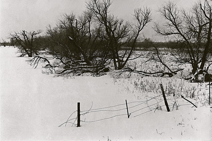 Countryside fence trees near Aberdeen South Dakota 1965 black and white Photograph by David Lee Guss