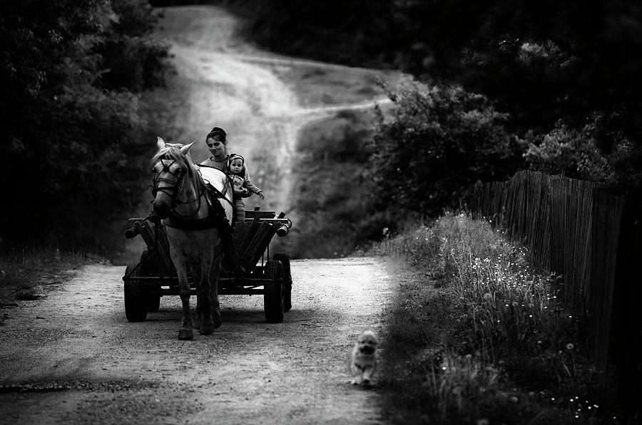 Horse Photograph - Countryside Life by Julien Oncete