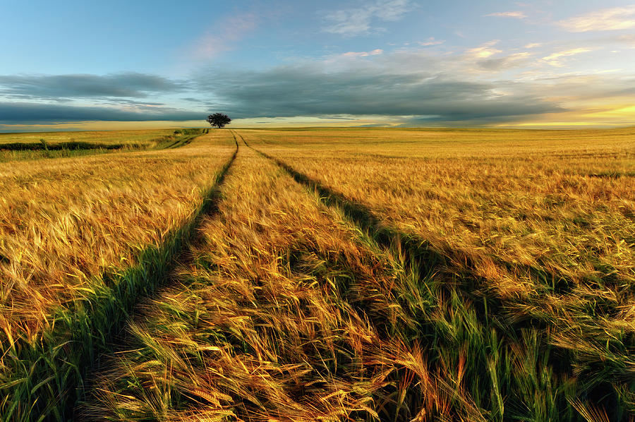 Landscape Photograph - Countryside by Piotr Krol (bax)