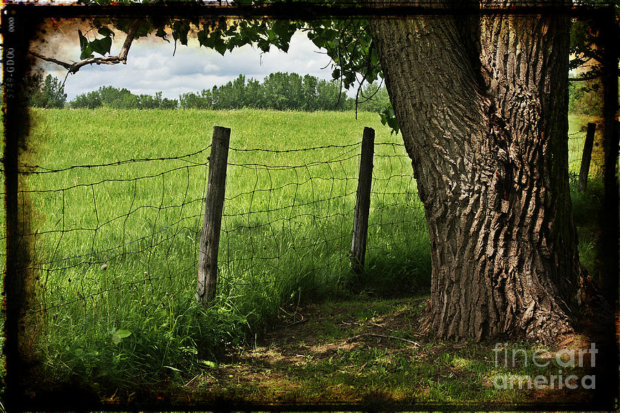 Nature Photograph - Countryside by Sophie Vigneault