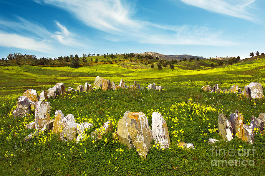 Fall Photograph - Countryside with Stones by Carlos Caetano