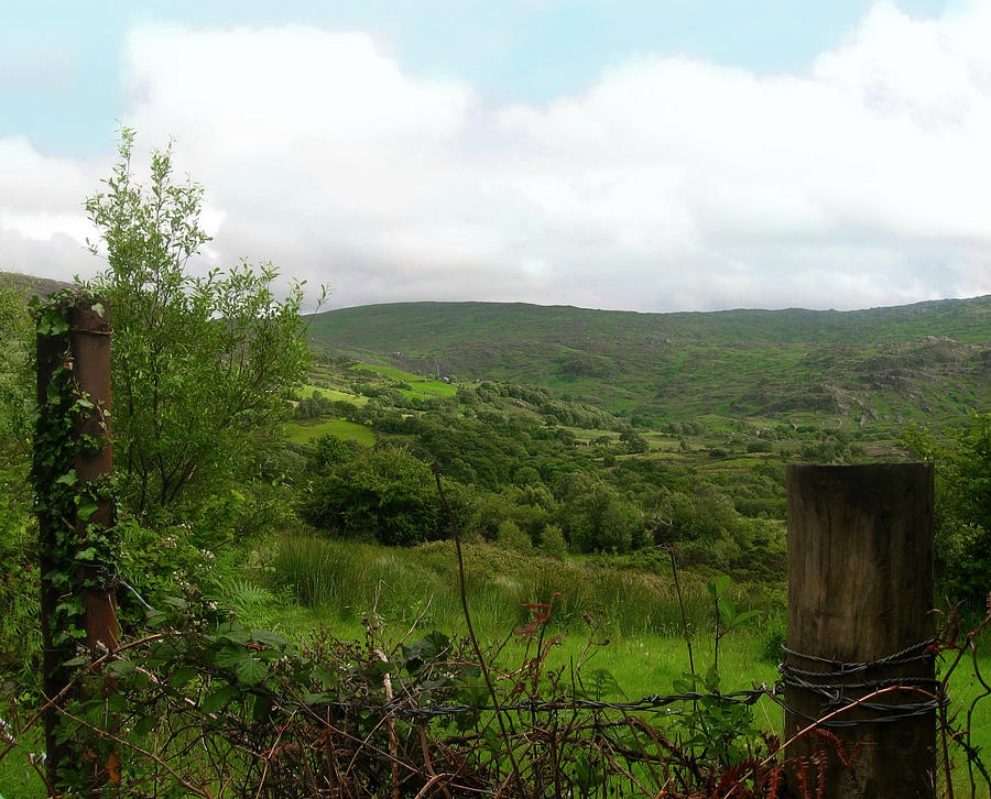 County Cork Green Photograph by Kandy Hurley