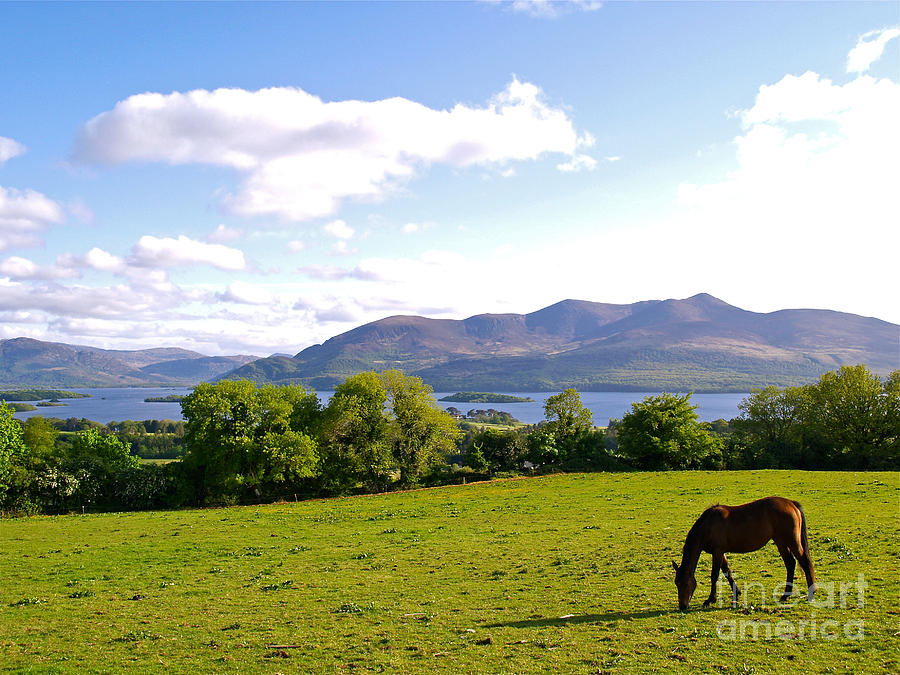 Nature Photograph - County Kerry by Alex Cassels