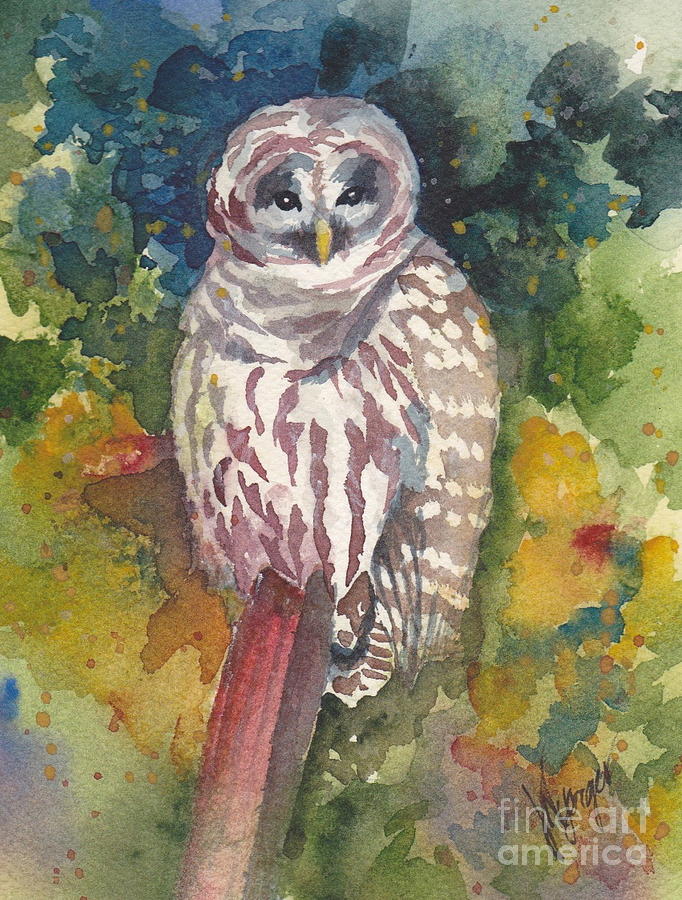 Owl Painting - Coupeville Barred Owl by Judi Nyerges