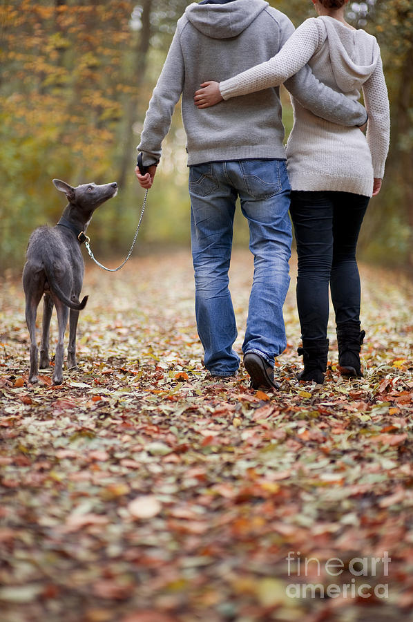 Couple And Dog Autumn Or Fall Photograph by Lee Avison