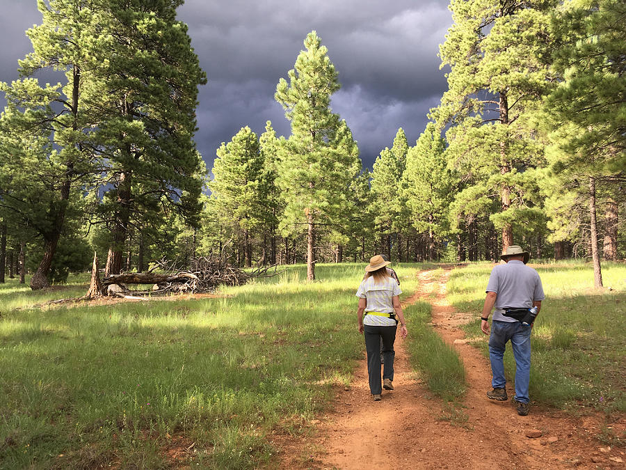 Couple Hiking in a Ponderosa Pine Forest Photograph by JeffGoulden