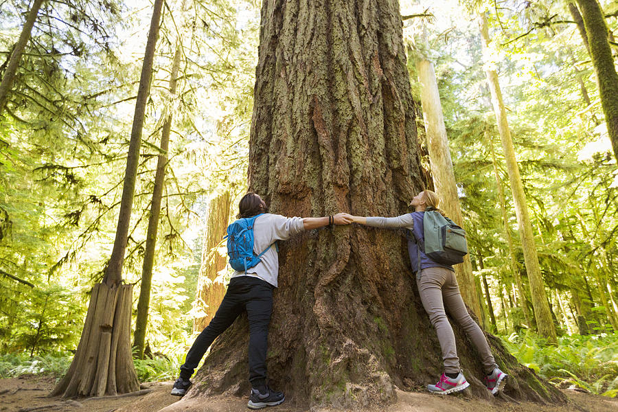 Couple hugging large tree in forest Photograph by Compassionate Eye Foundation/Steven Errico