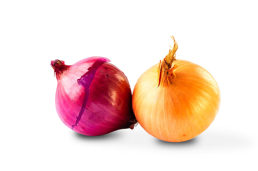 Couple of Onions Photograph by Alain De Maximy