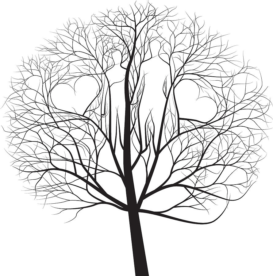 Couple Tree Digital Art by John Crothers