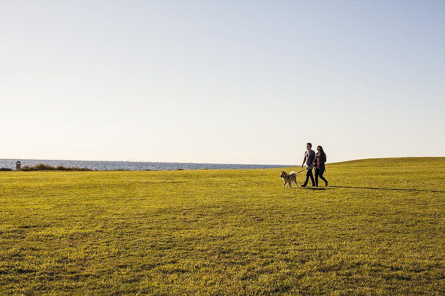 Couple with dog walking on grassy landscape against clear sky Photograph by Apeloga AB