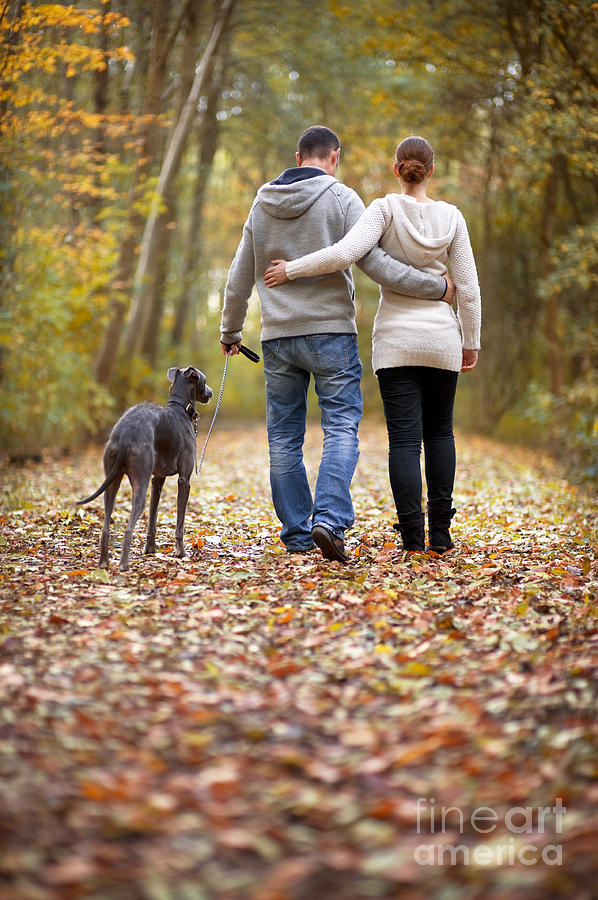 Couple With Their Dog On A Romantic Autumnal Walk Photograph by Lee Avison