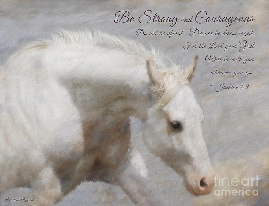 White Horse Courage  Digital Art by Constance Woods