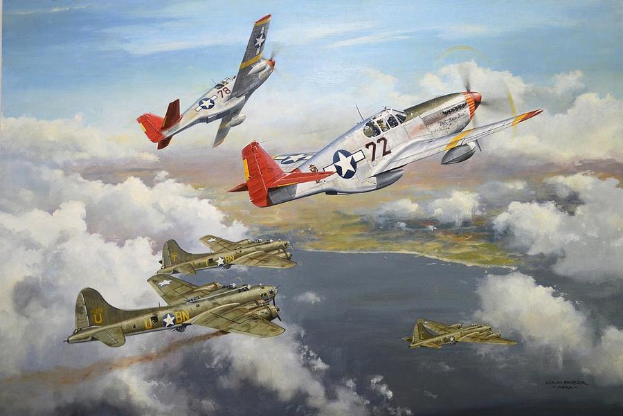 Tuskegee Airmen Painting - Courage has no Colour by Colin Parker