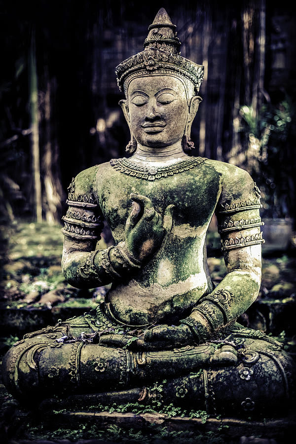 Heart Mudra Buddha Photograph by Maurice Spees | Pixels