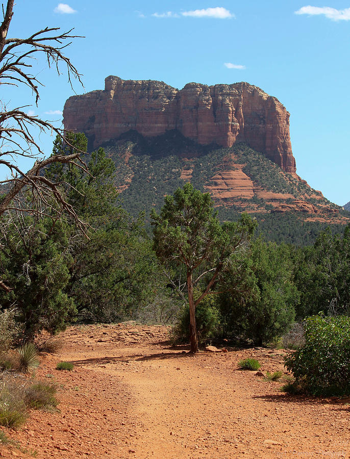 Courthouse Butte Trail View Photograph by Aaron Burrows