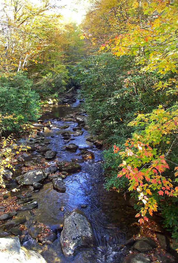 Courthouse Creek in Autumn Photograph by Duane McCullough