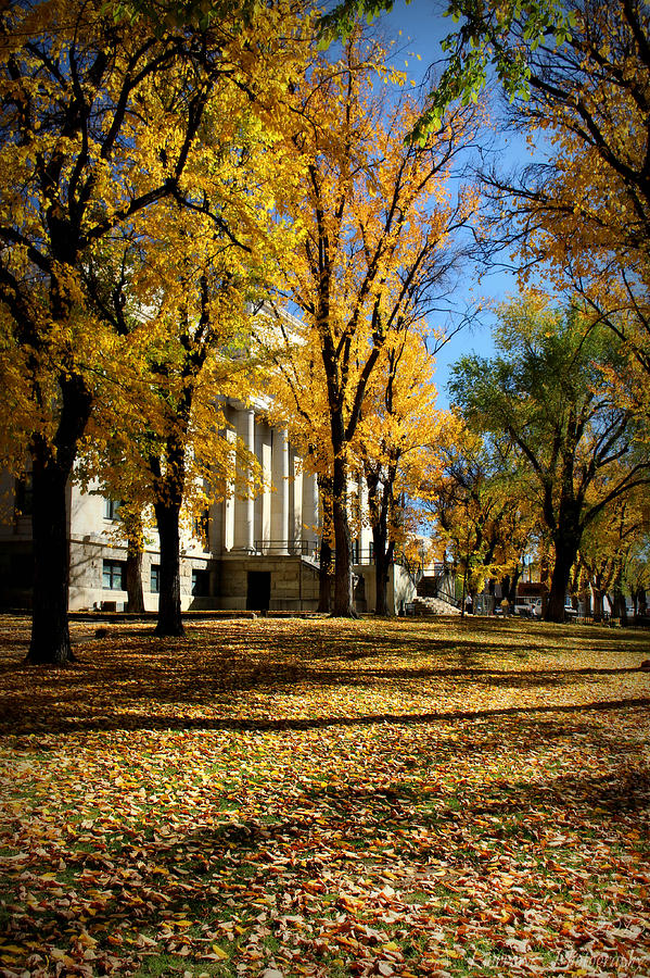 Courthouse Square in Autumn Photograph by Aaron Burrows
