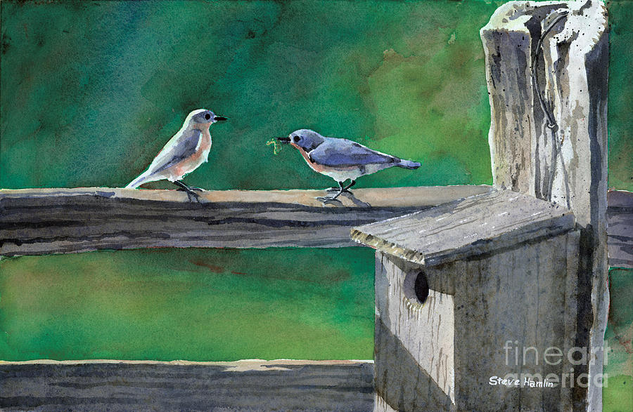 Courting Bluebirds Painting by Steve Hamlin