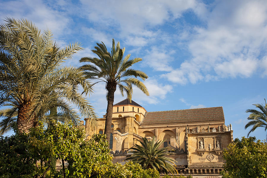 Courtyard Garden and Mezquita Cathedral of Cordoba Photograph by Artur Bogacki