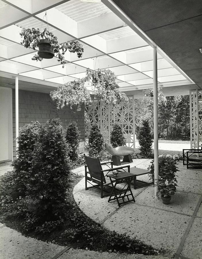 Courtyard With Plants Photograph by Pedro E. Guerrero